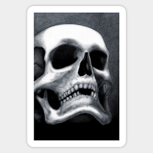 Skull Sticker